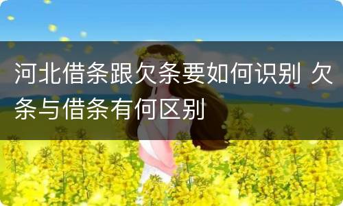 河北借条跟欠条要如何识别 欠条与借条有何区别