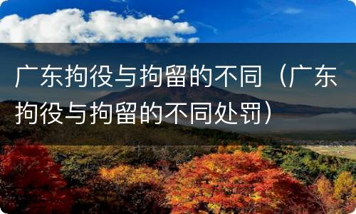 广东拘役与拘留的不同（广东拘役与拘留的不同处罚）