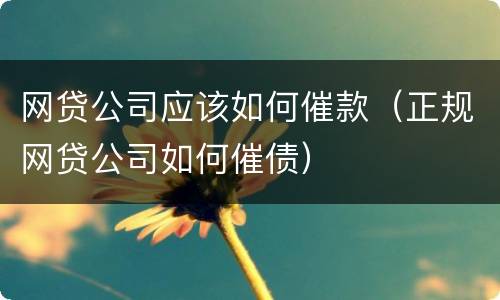网贷公司应该如何催款（正规网贷公司如何催债）