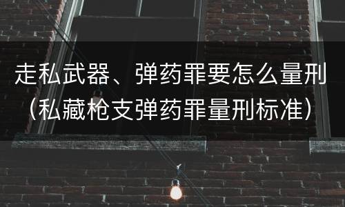 走私武器、弹药罪要怎么量刑（私藏枪支弹药罪量刑标准）