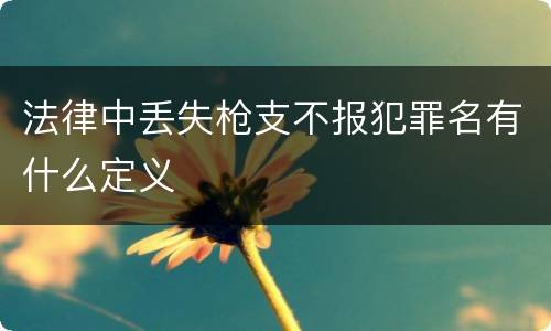 法律中丢失枪支不报犯罪名有什么定义