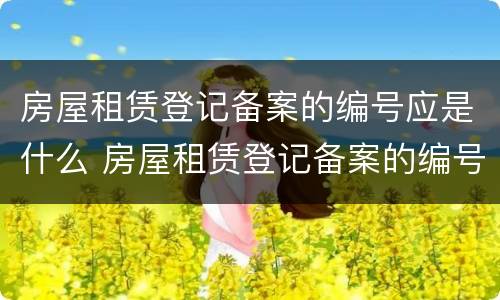 房屋租赁登记备案的编号应是什么 房屋租赁登记备案的编号应是什么意思