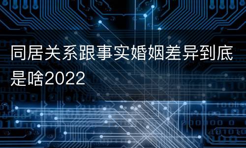 同居关系跟事实婚姻差异到底是啥2022
