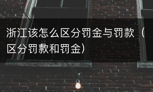 浙江该怎么区分罚金与罚款（区分罚款和罚金）