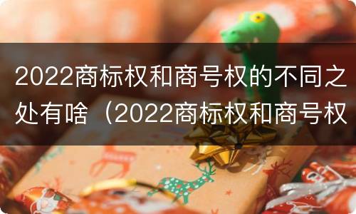 2022商标权和商号权的不同之处有啥（2022商标权和商号权的不同之处有啥区别）