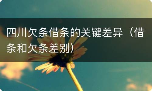 四川欠条借条的关键差异（借条和欠条差别）