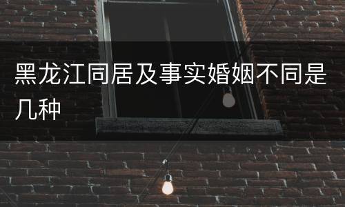黑龙江同居及事实婚姻不同是几种