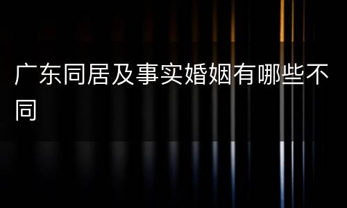 广东同居及事实婚姻有哪些不同