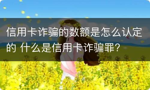 信用卡诈骗的数额是怎么认定的 什么是信用卡诈骗罪?