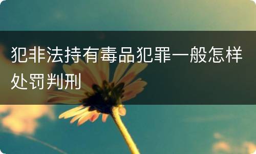 犯非法持有毒品犯罪一般怎样处罚判刑