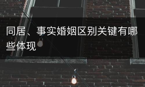 同居、事实婚姻区别关键有哪些体现