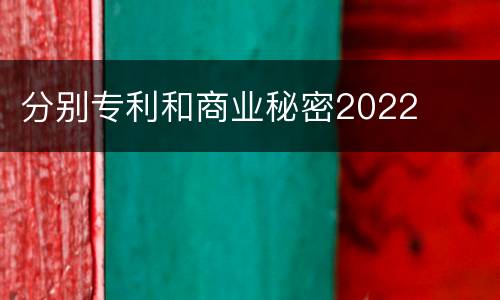 分别专利和商业秘密2022