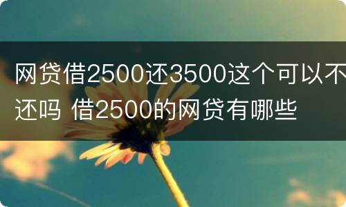 网贷借2500还3500这个可以不还吗 借2500的网贷有哪些