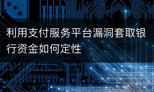 利用支付服务平台漏洞套取银行资金如何定性