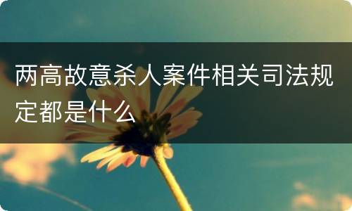 两高故意杀人案件相关司法规定都是什么