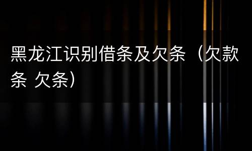 黑龙江识别借条及欠条（欠款条 欠条）
