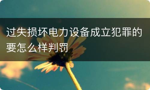 过失损坏电力设备成立犯罪的要怎么样判罚