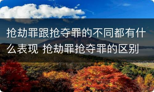 抢劫罪跟抢夺罪的不同都有什么表现 抢劫罪抢夺罪的区别