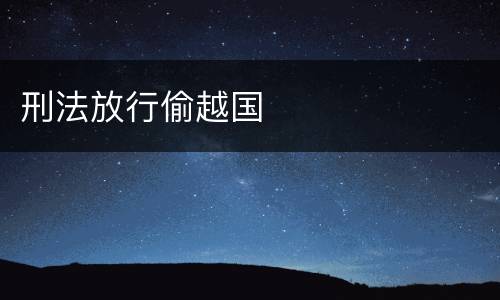 刑法放行偷越国