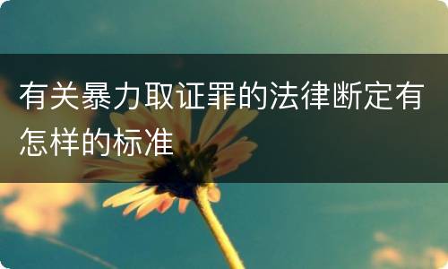 有关暴力取证罪的法律断定有怎样的标准