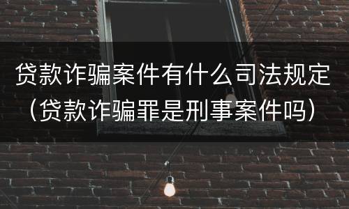 贷款诈骗案件有什么司法规定（贷款诈骗罪是刑事案件吗）