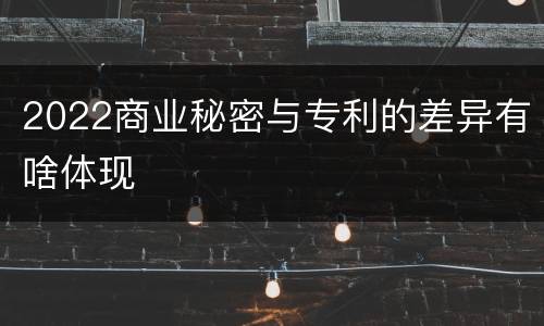 2022商业秘密与专利的差异有啥体现