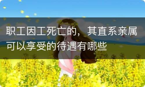 职工因工死亡的，其直系亲属可以享受的待遇有哪些