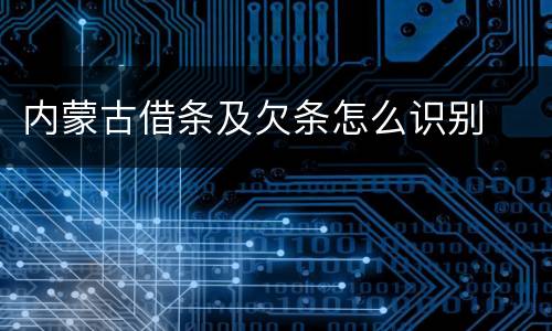 内蒙古借条及欠条怎么识别