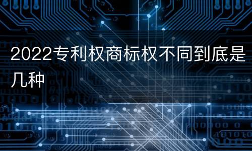 2022专利权商标权不同到底是几种
