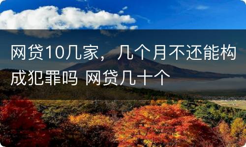 网贷10几家，几个月不还能构成犯罪吗 网贷几十个
