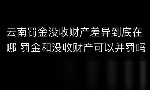 云南罚金没收财产差异到底在哪 罚金和没收财产可以并罚吗