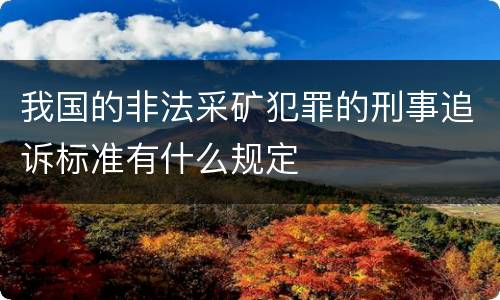 我国的非法采矿犯罪的刑事追诉标准有什么规定