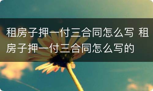租房子押一付三合同怎么写 租房子押一付三合同怎么写的