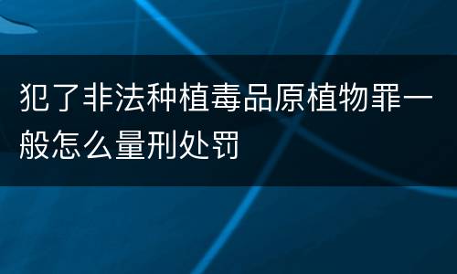 犯了非法种植毒品原植物罪一般怎么量刑处罚