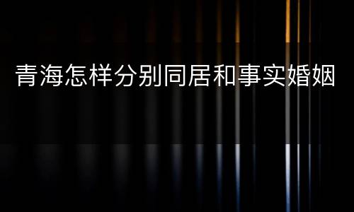 青海怎样分别同居和事实婚姻