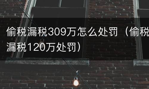 偷税漏税309万怎么处罚（偷税漏税120万处罚）