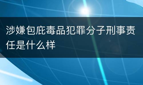 涉嫌包庇毒品犯罪分子刑事责任是什么样