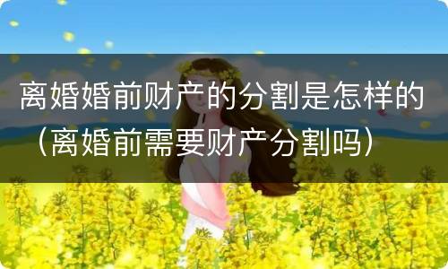 离婚婚前财产的分割是怎样的（离婚前需要财产分割吗）
