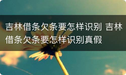 吉林借条欠条要怎样识别 吉林借条欠条要怎样识别真假