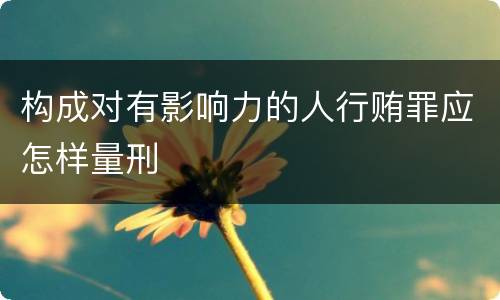 构成对有影响力的人行贿罪应怎样量刑