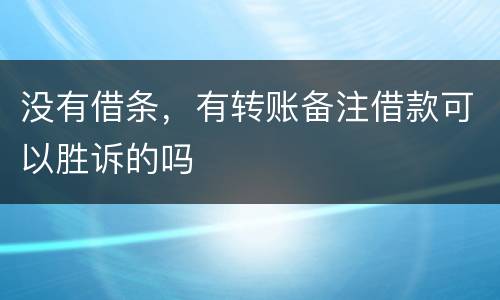 没有借条，有转账备注借款可以胜诉的吗