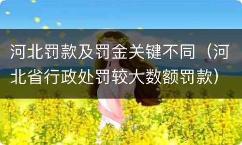 河北罚款及罚金关键不同（河北省行政处罚较大数额罚款）