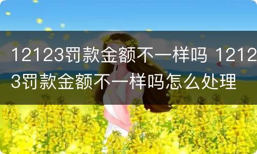 12123罚款金额不一样吗 12123罚款金额不一样吗怎么处理