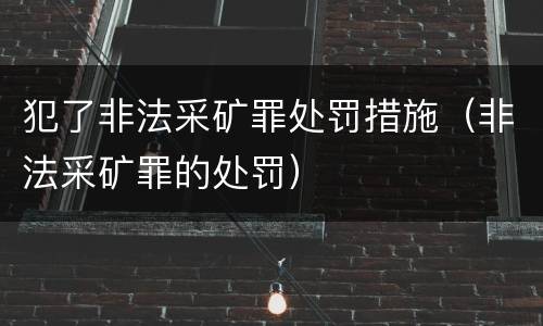 犯了非法采矿罪处罚措施（非法采矿罪的处罚）