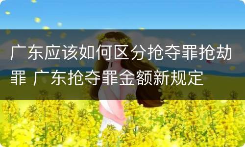 广东应该如何区分抢夺罪抢劫罪 广东抢夺罪金额新规定