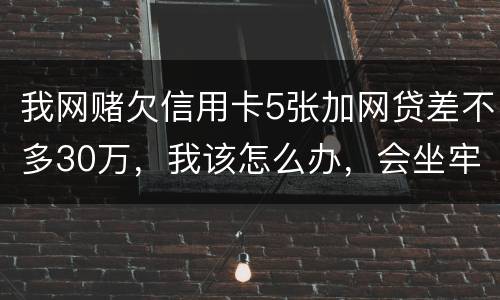 我网赌欠信用卡5张加网贷差不多30万,我该怎么办,会坐牢吗?没钱还,还不上了
