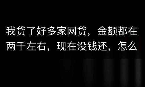 我贷了好多家网贷，金额都在两千左右，现在没钱还，怎么办呢
