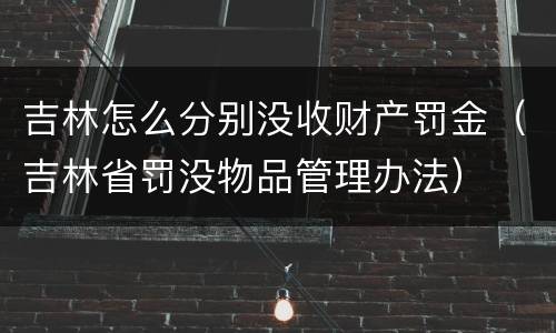 吉林怎么分别没收财产罚金（吉林省罚没物品管理办法）