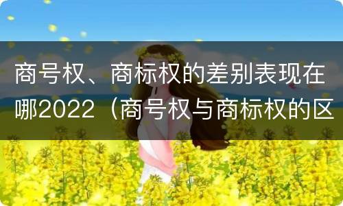 商号权、商标权的差别表现在哪2022（商号权与商标权的区别）