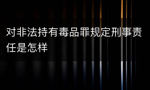 对非法持有毒品罪规定刑事责任是怎样